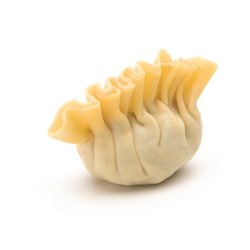 WONTON VEGETABLES 50x18g VEGAN
