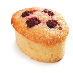 *FRIAND RASPBERRY G/F  20X65G gluten free