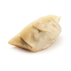 GYOZA VEGETABLE 50x25g VEGAN